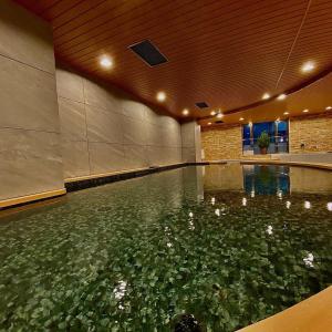 大阪大阪胶囊旅馆（仅限男性）的一座拥有绿色水的游泳池,