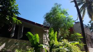 班加罗尔BE ANIMAL Hostel的前面有棕榈树的房子