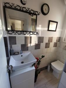 贝尔格莱德乔凡纳科伦斯卡公寓的一间带水槽、镜子和卫生间的浴室
