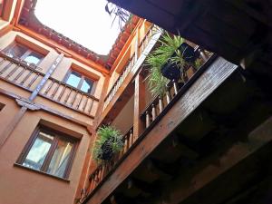 托莱多Apartamento Vicario Toledo的一座建筑,阳台上种植了盆栽植物