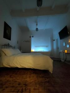 博洛尼亚Il Sitarein的一间卧室,卧室内配有一张大床