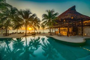 普拉亚卡门Viceroy Riviera Maya, a Luxury Villa Resort的一个带游泳池和棕榈树的度假村