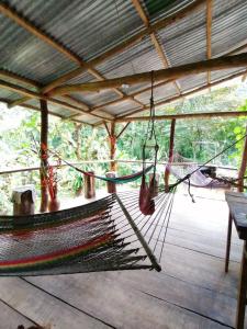 德雷克Rio Agujitas Eco-Jungle的木质甲板上的吊床,树荫下