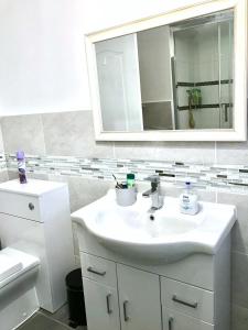 布里斯托Fox View Guesthouse的白色的浴室设有水槽和镜子