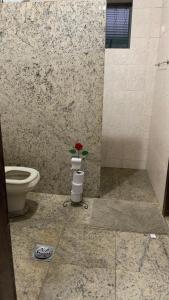 迪维诺波利斯Hostel Assis Divinópolis的一间带卫生间的浴室,并在角落处种植了鲜花