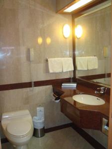 米里嘉逸豪庭酒店的一间带卫生间、水槽和镜子的浴室
