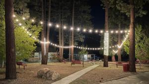 大熊湖Bay Meadows Resort的公园里晚上的一串灯