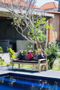 坎古普图民宿的木凳,旁边是种着树的游泳池