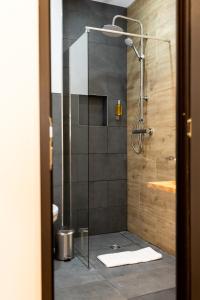 胡内多阿拉Corvin Guesthouse的带淋浴的浴室和玻璃门