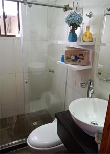 蒙圭VILLA CUCHA的带淋浴、卫生间和盥洗盆的浴室