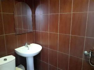 科布列季guka的一间带水槽、卫生间和镜子的浴室