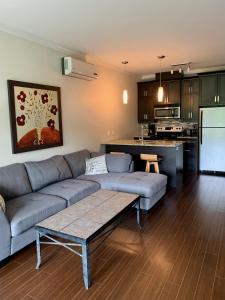 布罗蒙尚普兰街102号公寓的带沙发的客厅和厨房