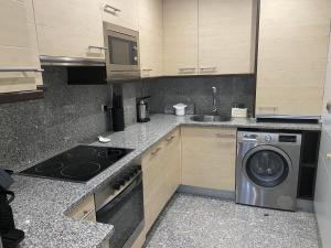 萨拉戈萨Apartamento Plaza España的厨房配有洗衣机和水槽