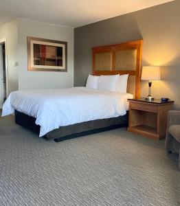 乔治王子城Anavada Inn & Suites - Prince George的酒店客房带一张大床和一把椅子