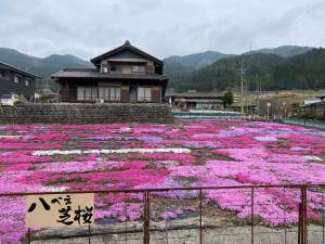 山景或在度假屋看到的山景