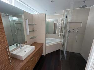 维也纳Metro Apartments Vienna的一间带水槽和淋浴的浴室