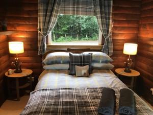 达农Fox Lodge Traditional Log Cabin的一间卧室配有一张带两盏灯的床和一扇窗户。