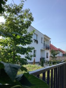 马德Nyúlászó Vendégház és Galéria的白色的房子,有栅栏和树木