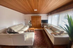 施泰因Familien-Haus,Garten,Grill,20m zum Rhein的客厅设有白色沙发和木制天花板