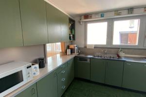 施泰因Familien-Haus,Garten,Grill,20m zum Rhein的厨房配有绿色橱柜和白色微波炉
