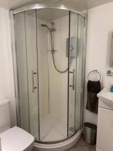 ThrowleighDelightful 1 bedroom chalet的一间带卫生间的浴室内的玻璃淋浴间