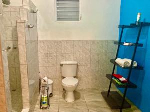 库尔克岛JAGUAR MORNING STAR的一间带卫生间和淋浴的浴室