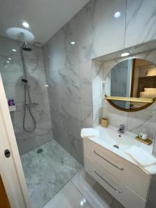 维希弗朗索瓦第一公寓的浴室配有盥洗盆和带镜子的淋浴