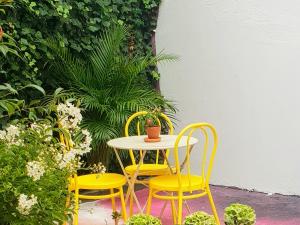 波尔图SUPERNOVA - Hostel & Café的一张桌子,两把椅子,一张桌子,还有植物