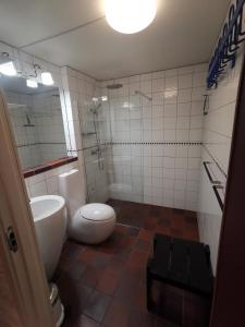 霍夫登Stor super leilighet - bakkeplan - barnevennlig - 80m2 - selvhushold - vaskefirma的浴室配有卫生间、盥洗盆和淋浴。