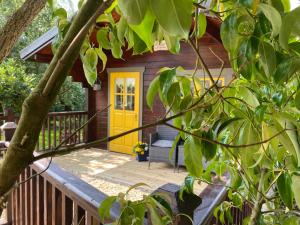 新罗斯Beaufort House Accomodation的甲板上设有黄色门的小小屋