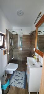 科尔贝尼Belvedere La Cristina的一间带水槽、卫生间和镜子的浴室