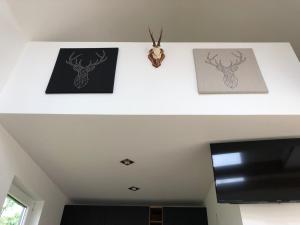斯克伦达Skrundas namiņš的一间房间的天花板上三张鹿的照片