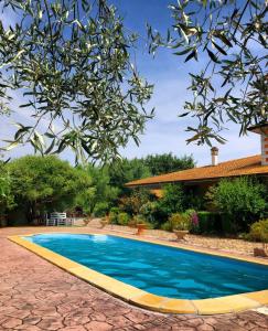 SorgonoB&B Casa Vacanza Centro Sardegna的一座房子的院子内的游泳池