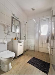 隆代克-兹德鲁伊Pensjonat Na Każdą Porę的浴室配有卫生间、盥洗盆和淋浴。