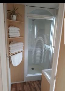埃尔帕尔马Mobil home的浴室设有玻璃淋浴间,备有毛巾