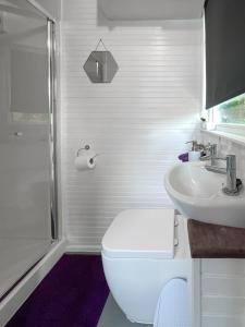 威克Shepherds hut Bath的白色的浴室设有卫生间和水槽。