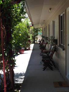 汤斯维尔太阳鸟汽车旅馆的走廊上摆放着一排椅子和植物