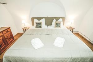 施库尔Il Maschun im historischen Engadinerhaus的卧室配有一张带白色床单和枕头的大床。