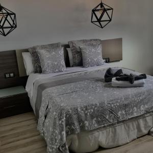 Las ToscasEL AGAVE DE MERESE APARTAMENTO的一间卧室配有一张大床和灰色的被子