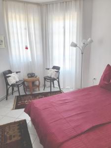 下厄尔什Lijoli Lounge Vendégház的一间卧室配有红色的床、椅子和窗户