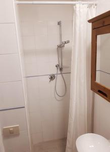 罗马Studio apartment, super position的带淋浴和浴帘的浴室