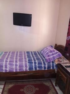 乌季达Hotel Aswan的卧室配有一张床铺,墙上配有电视