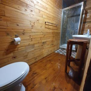 比勒陀利亚Cozy Wood Cabin的木制浴室设有卫生间和水槽