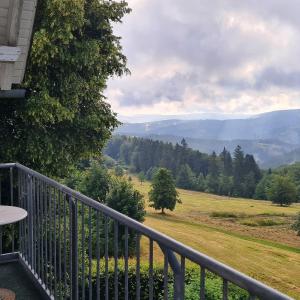 马瑟尔贝格Pension Breitenborn的享有田野和山脉美景的阳台。