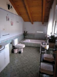 塞尔塞迪利亚El Mirador de Cercedilla - Nueva Apertura的带浴缸、卫生间和盥洗盆的浴室