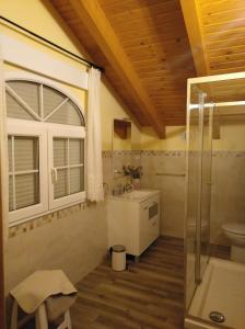 塞尔塞迪利亚El Mirador de Cercedilla - Nueva Apertura的浴室配有卫生间、盥洗盆和淋浴。