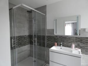 Lachapelle-sous-ChauxLes Chambres d Odile的带淋浴和盥洗盆的浴室