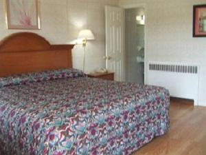 萨拉托加泉Robin Hood Motel的一间位于酒店客房内的带大床的卧室