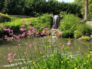 Le Plessis-LuzarchesDomaine du Plessis的花园内的瀑布,花朵粉红色