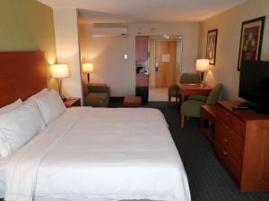 托卢卡托卢卡佐纳埃洛普尔托智选假日酒店及套房的酒店客房设有一张大床和一台电视。